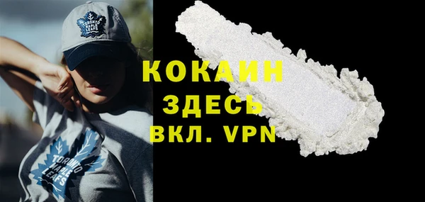 гашик Аркадак