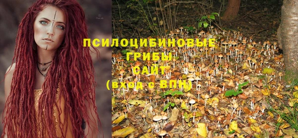 шишки Болохово