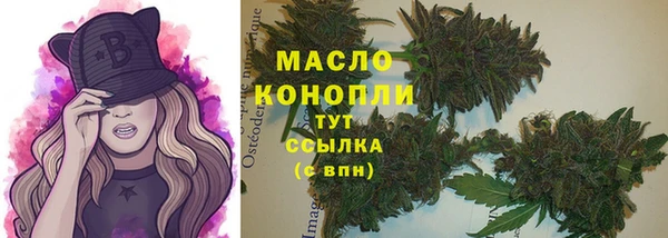 гашик Аркадак