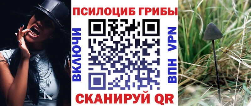 Галлюциногенные грибы ЛСД  kraken ТОР  Кировск 